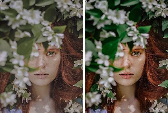 VSCO Lightroom Presets Cover