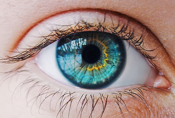 eyes free professional photoshop actions