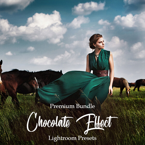 banner lr presets chocolate effect collection