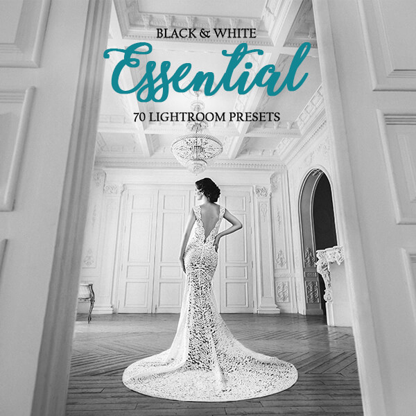 banner lr presets black and white collection