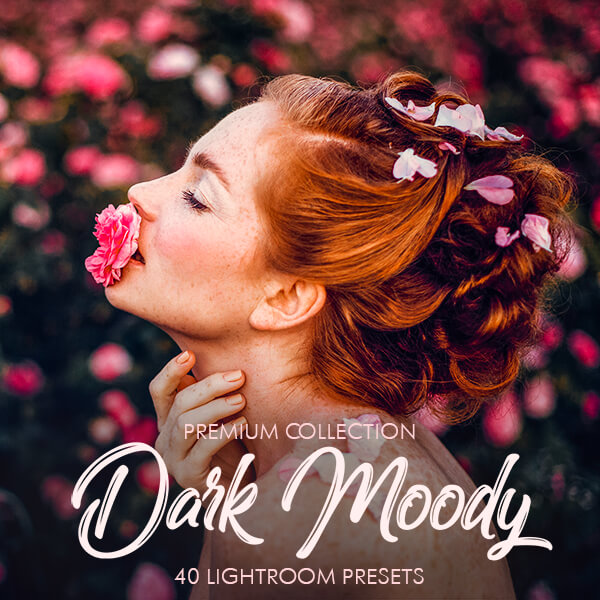 banner lr presets dark moody collection