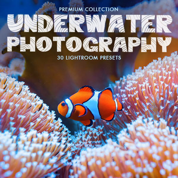 banner lr presets underwater photography collection