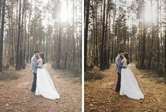 Twig and Olive Presets Cover